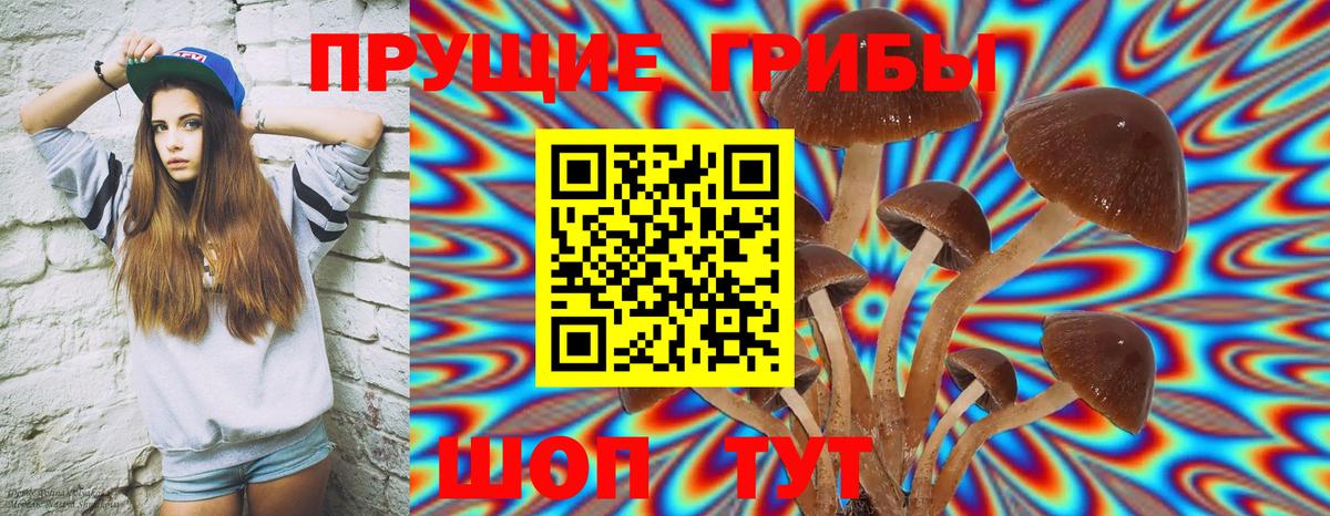 Галлюциногенные грибы Cubensis  Вход с VPN  Протвино 