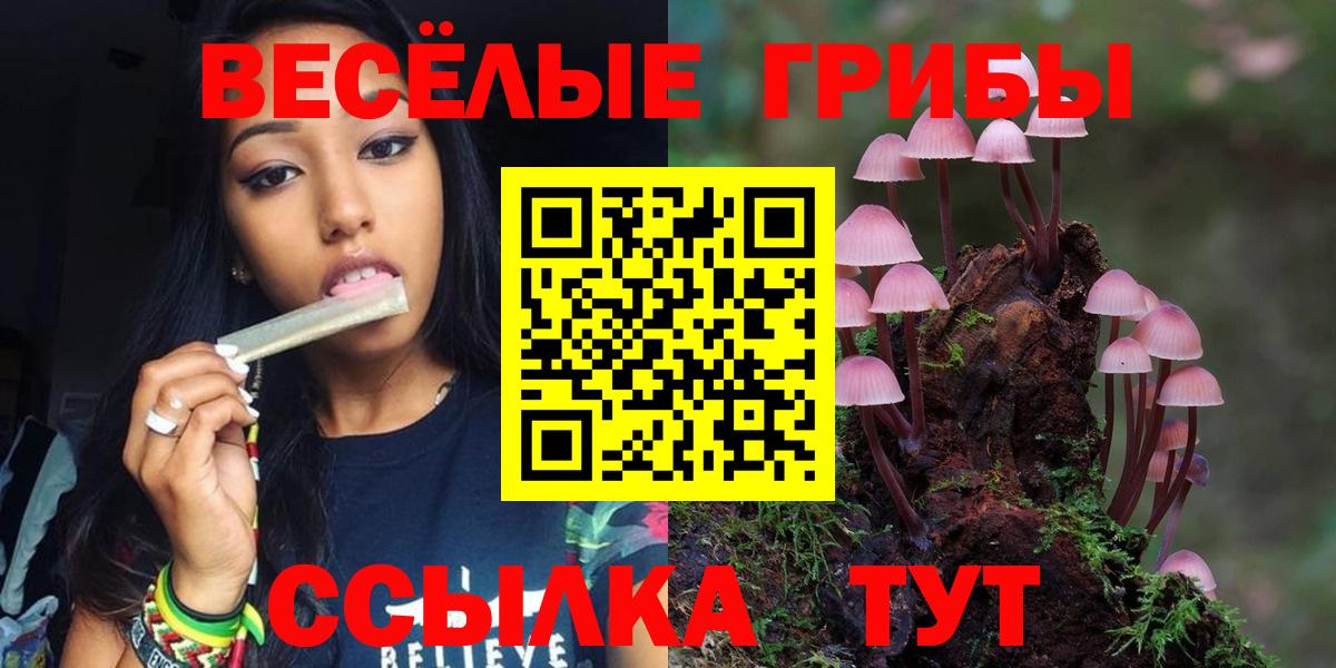 Псилоцибиновые грибы Psilocybe Протвино